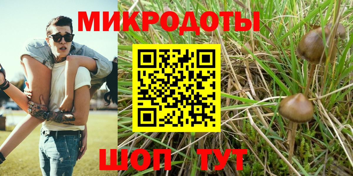 Псилоцибиновые грибы Psilocybe  Вход с VPN  Первоуральск 